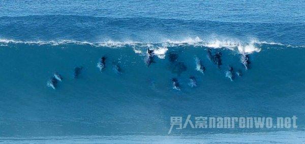 造谣、抹黑,影响恶劣!郑州警方通报