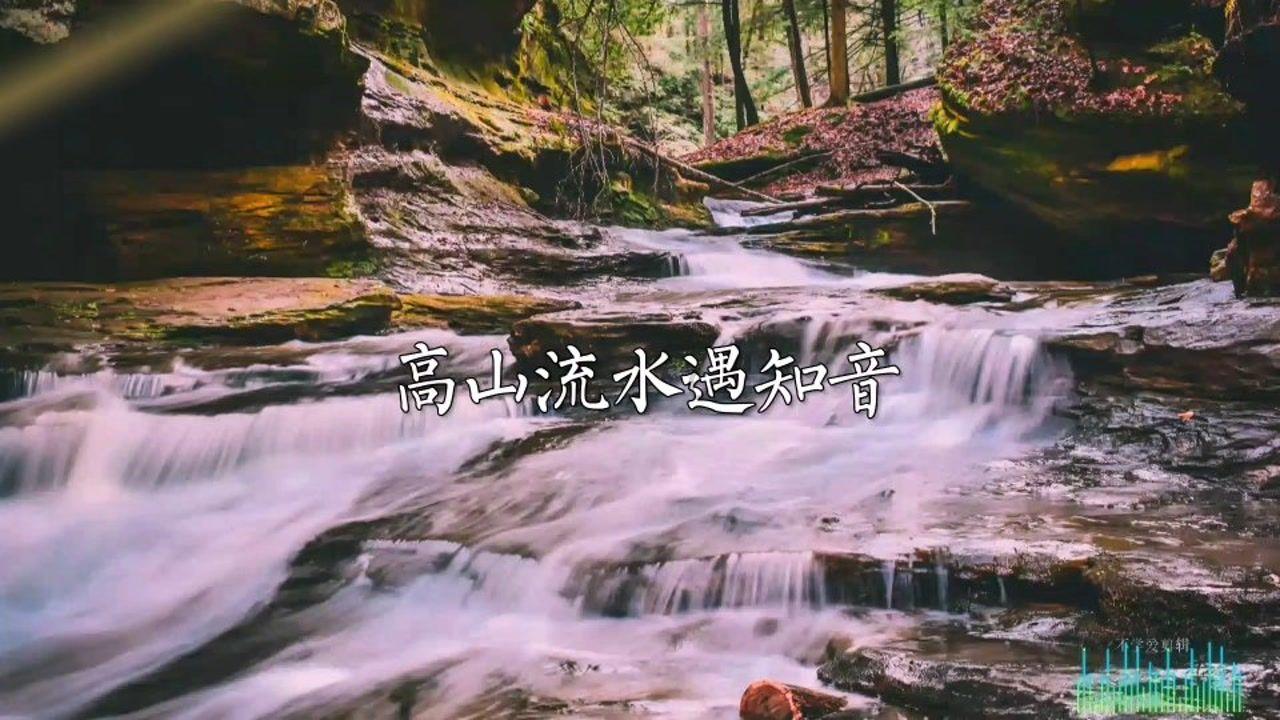 老鹰逃生